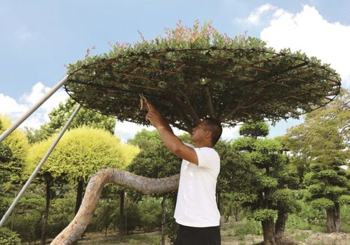 退伍軍人錢星星 褪下戎裝種新綠，帶動農戶共致富