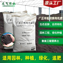 黑土沃野 樹木種植經營的可持續之路